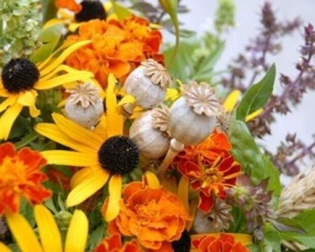 Медовый спас маковей. Медовый спас маковей. Медовый спас (первый спас - маковия). Фестиваль медовый спас. Картинки веночек на медовый спас.