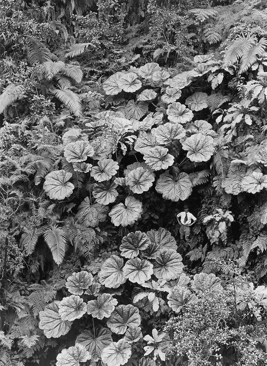 25 неопубликованных фотографий из архивов National Geographic