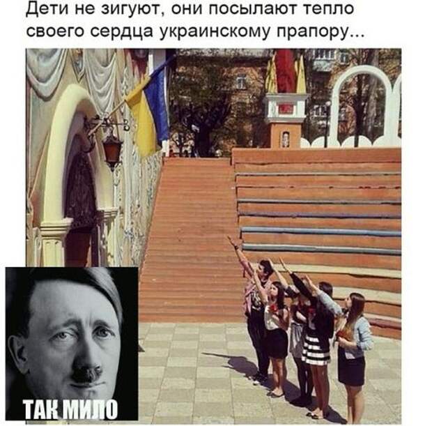 post-3562-0-32294700-1454756692.jpg
