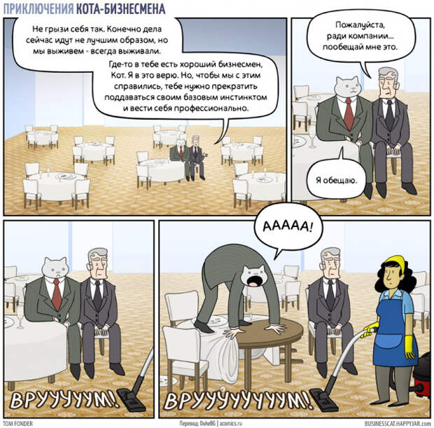 Невероятные приключения кота-бизнесмена (8)