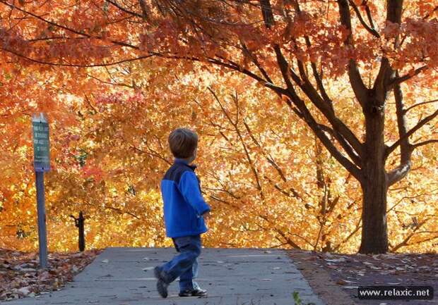 october_038 october_038