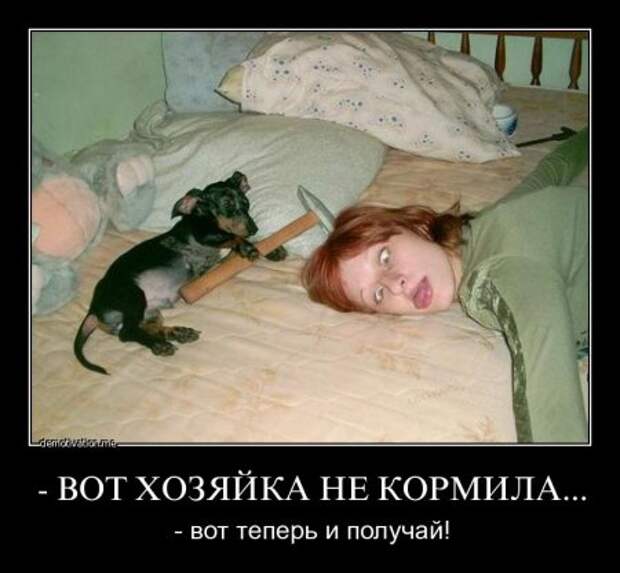 Демотиваторы, они прикольные, других и не держим.