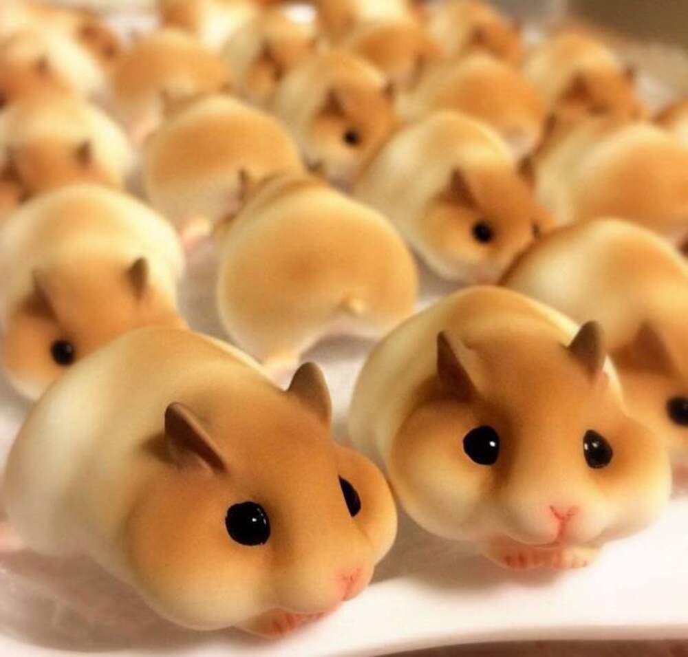 Японские булочки хомяки