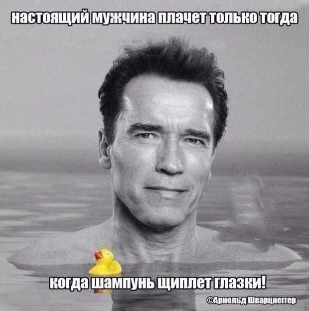 Юмор в фотографиях Юмор в фотографиях
