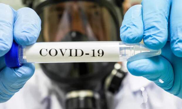 В Поморье за сутки выявили 69 новых случаев заражения коронавирусом