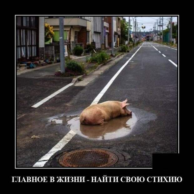 Демотиватор про стихиюДемотиватор про к