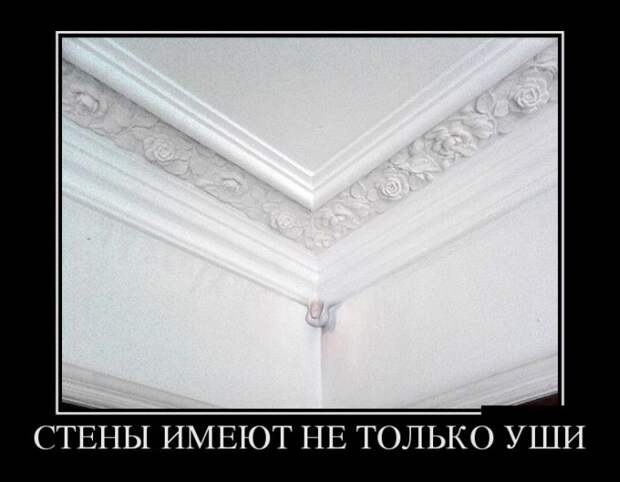 Демотиваторы (30 фото)