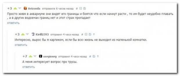 Прикольные комментарии из соцсетей (20 фото)
