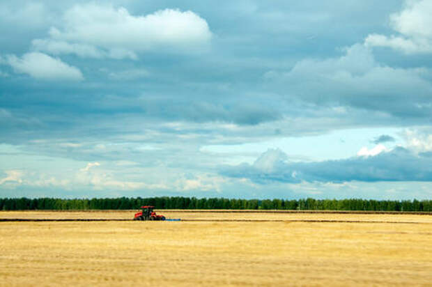 Секрет богатого урожая: зачем на Кубани искусственно вызывать осадки