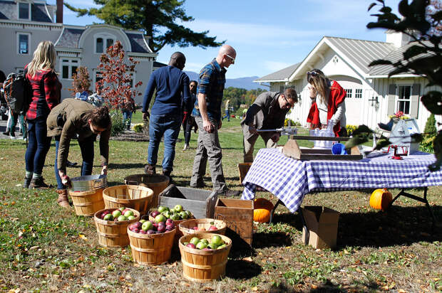 Let's Press Some Cider! Upstate New York