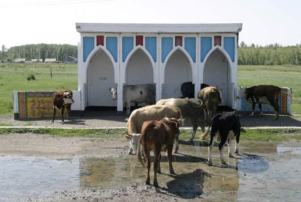 Советские автобусные остановки в мире, остановка