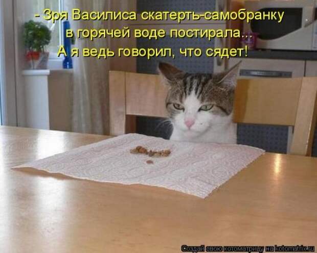 Ходячие котоматрицы. Няшные котейки Ходячие котоматрицы. Няшные котейки