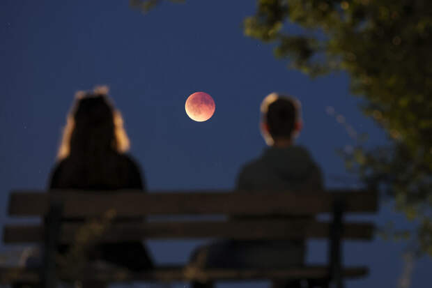 Глава Росатома Лихачев: российская АЭС на Луне должна появиться к 2035 году