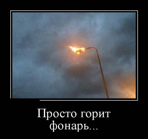Демотиваторы (30 фото)