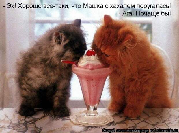 Котоматрица - - Эх! Хорошо всё-таки, что Машка с хахалем поругалась! - Ага! Почаще б