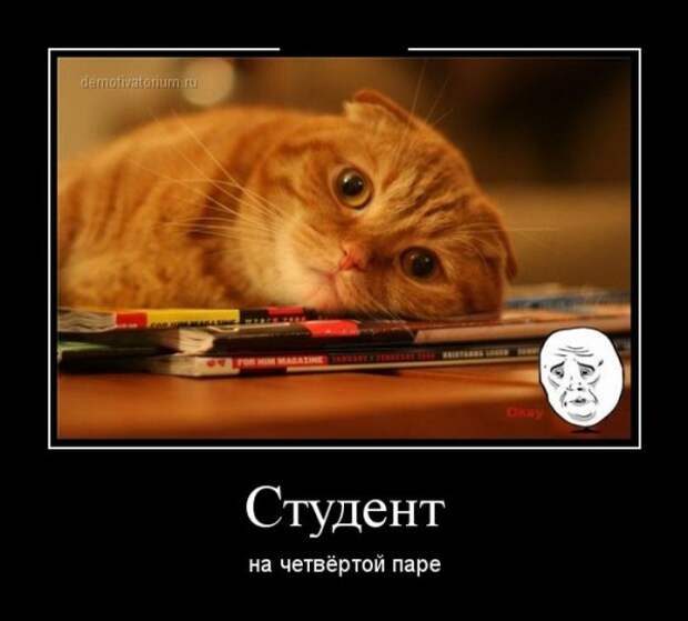 Обо всём.