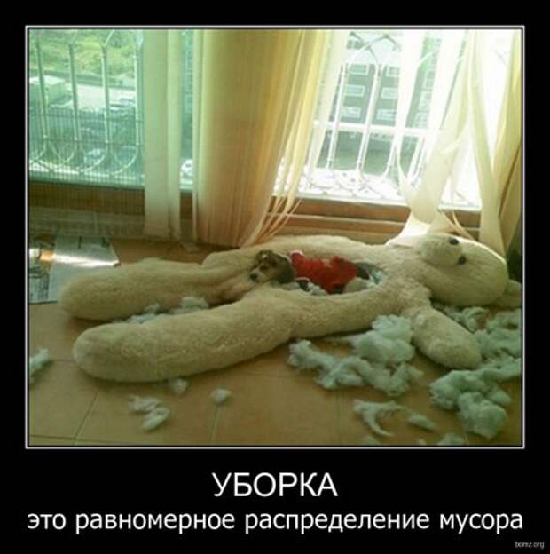 Демотиваторы у нас высший класс, только прикольные!