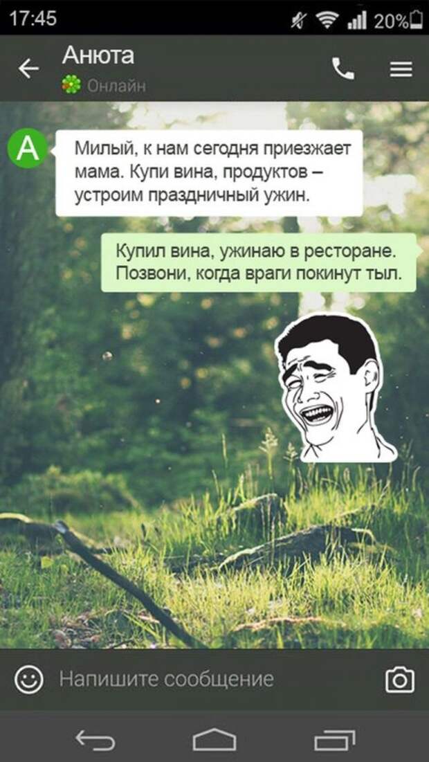 Мужские СМС-ки обо всём на свете (15 шт)