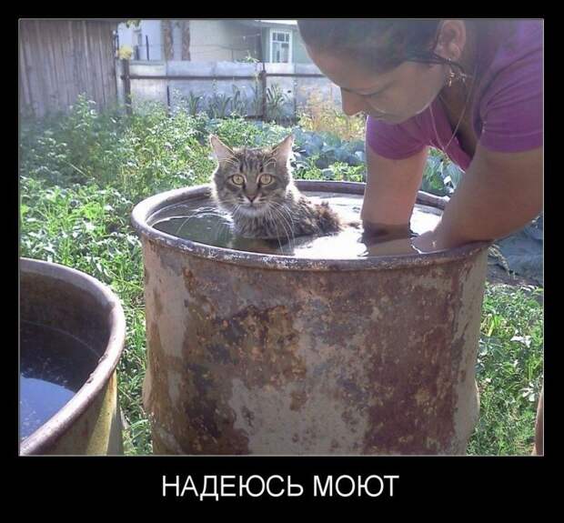 Демотиваторы демотиваторы