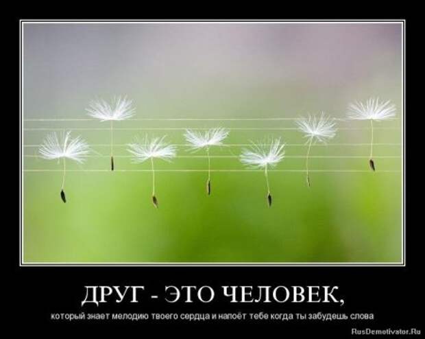 Демотиваторы о дружбе.