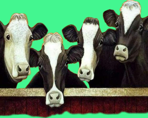 Почему мясо коровы называется ГОВЯДИНОЙ и кто такой ГОВЯДАРЬ? А то говорим и не знаем!