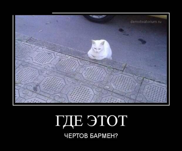 Демотиваторы демотиваторы, картинки, приколы
