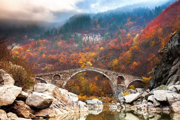 великолепные краски осени
