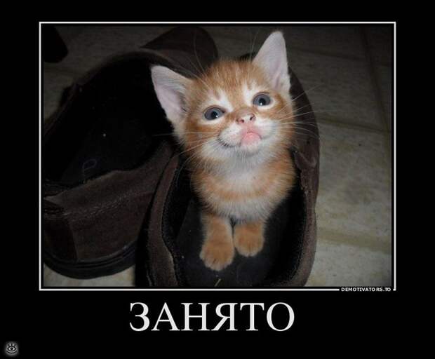 Настраивайся на положительные эмоции! 16