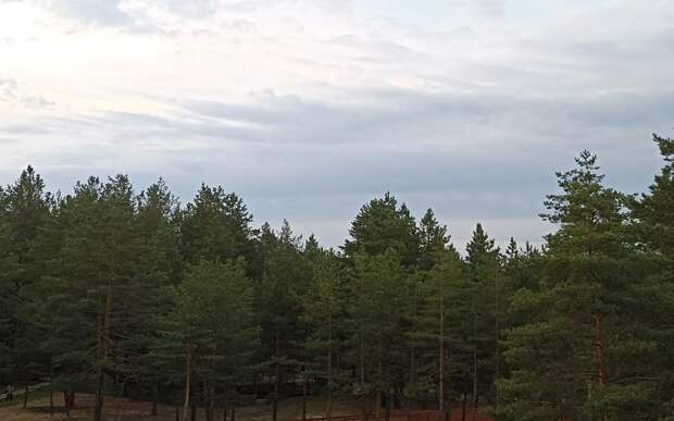 65 поселков в Мещере могут быть газифицированы