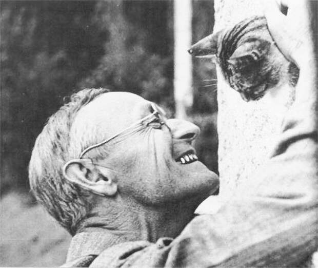 Герман Гессе — гуманист с образцовым литературным стилем и искренний ценитель кошек. У великого немецкого писателя был любимый кот Лев.