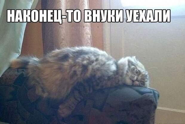 Картинки