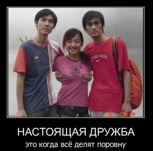 Демотиваторы (42 фото)