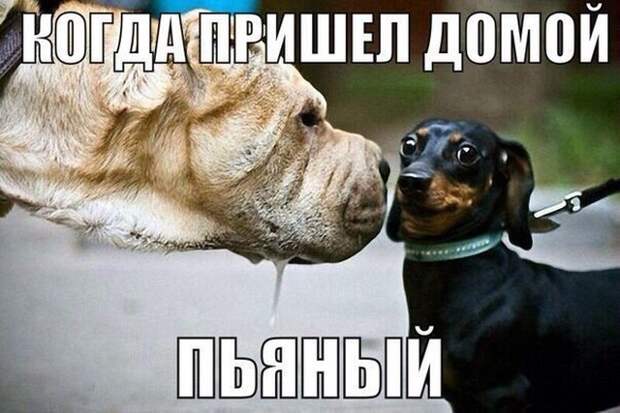 Подборка картинок (20 фото)