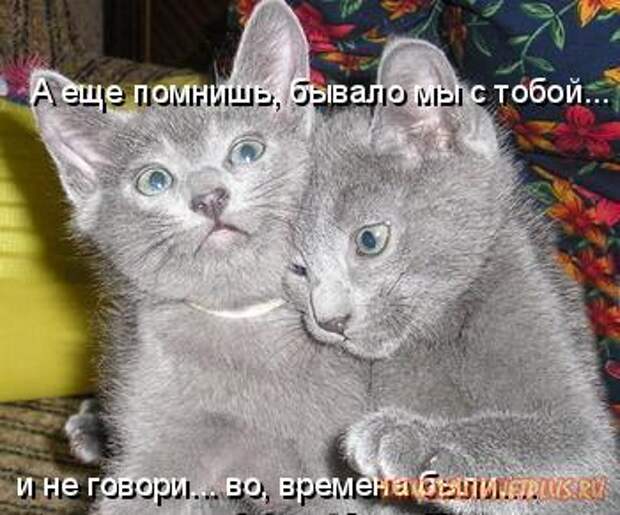 Зверье мое......