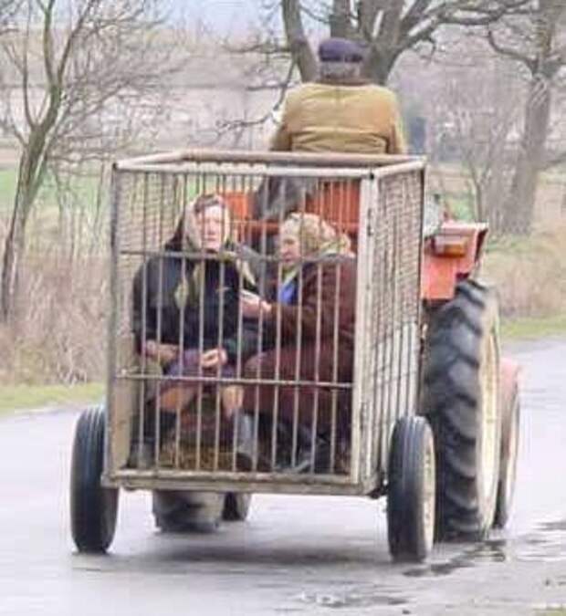 Эх, Россия (72 фото) Эх, Россия (72 фото)