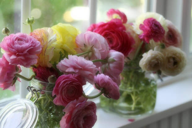 IMG_7191 IMG_7191