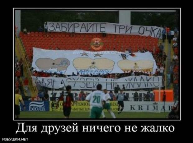 Демотиваторы приколы картинки, заряд отличного настроения!