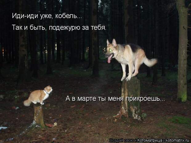 Котоматрица: Иди-иди уже, кобель... Так и быть, подежурю за тебя. А в марте ты меня прикроешь...