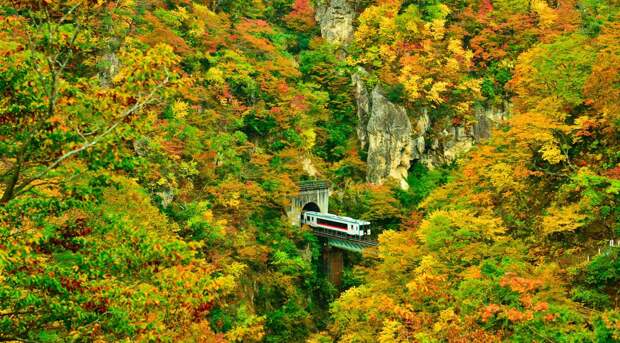Осень в Японии 2015 2015 осень япония, алая осень японии, дегустация осени в японии, красные клены японии, момидзи, момидзи 2015, момидзи-гари, осень в японии, осень по-японски, осень-японии, тур в японию, японки, японская осень 2015