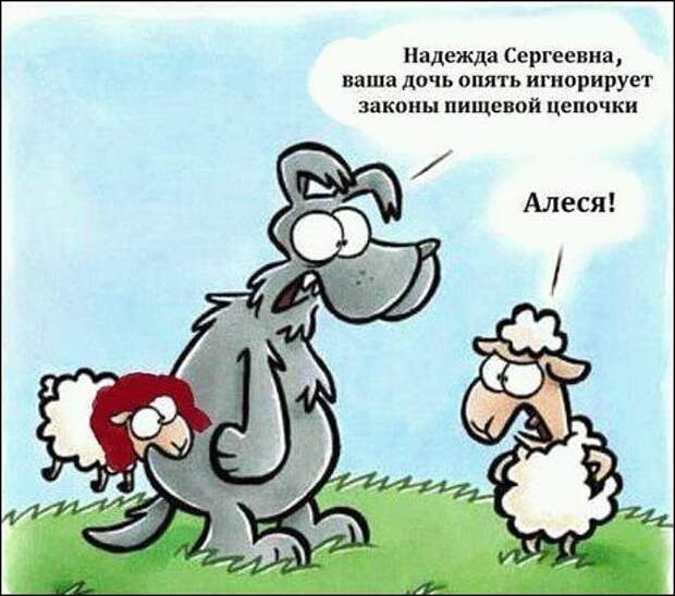 Комиксы и карикатуры Комиксы и карикатуры Анекдоты, прикол, юмор