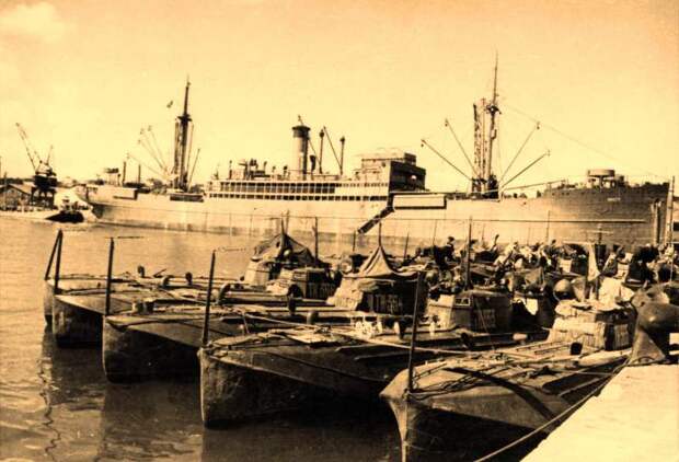 Особенности боевого применения торпедных катеров на Черном море