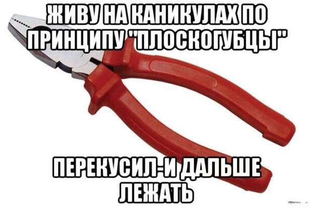 Смешные картинки с подписями катинки, прикол, юмор