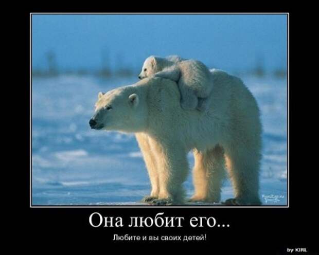 Красивые демотиваторы и серьезные фразы и цитаты со смыслом.