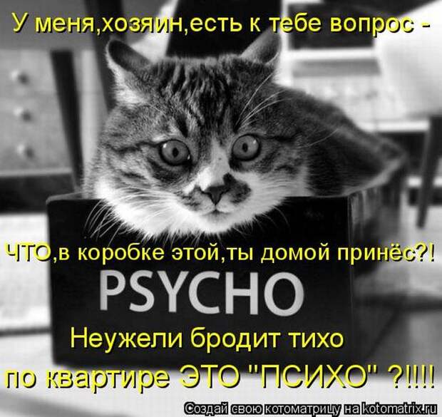 Мысли вслух :)