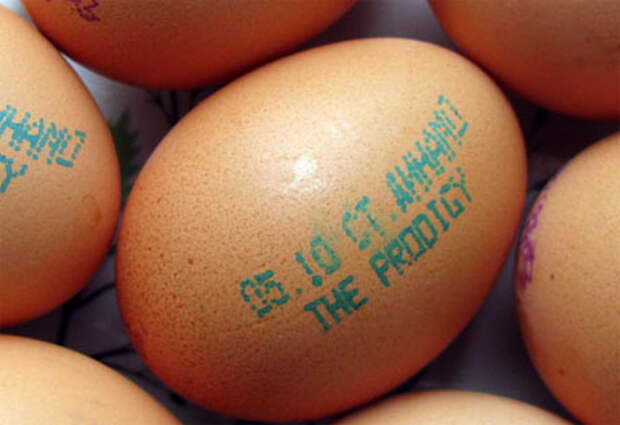 Реклама концерта The Prodigy на куриных яйцах