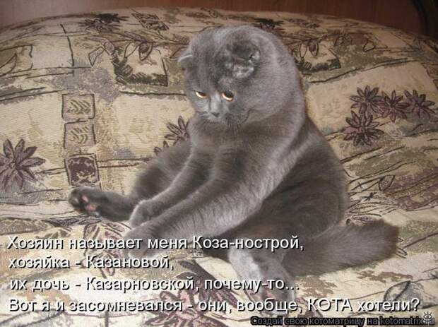 Чудная котоматрица 14