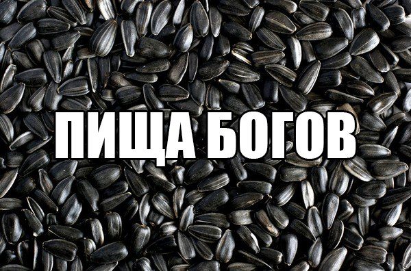 Смехопанорама. Кайф!