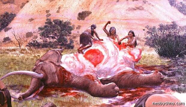 Мясо слона в рационе древних