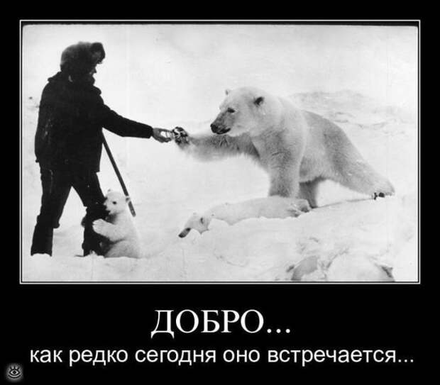 У каждого своя Олимпиада 27