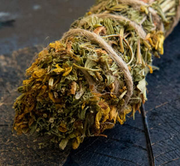 trava1_pr.jpg trava1_pr.jpg